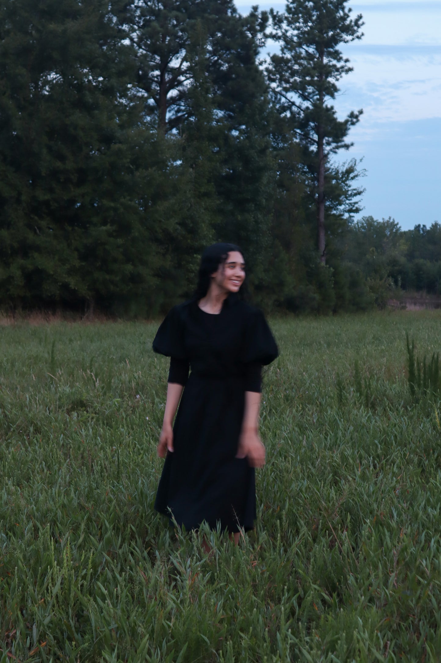 Geneva Dress