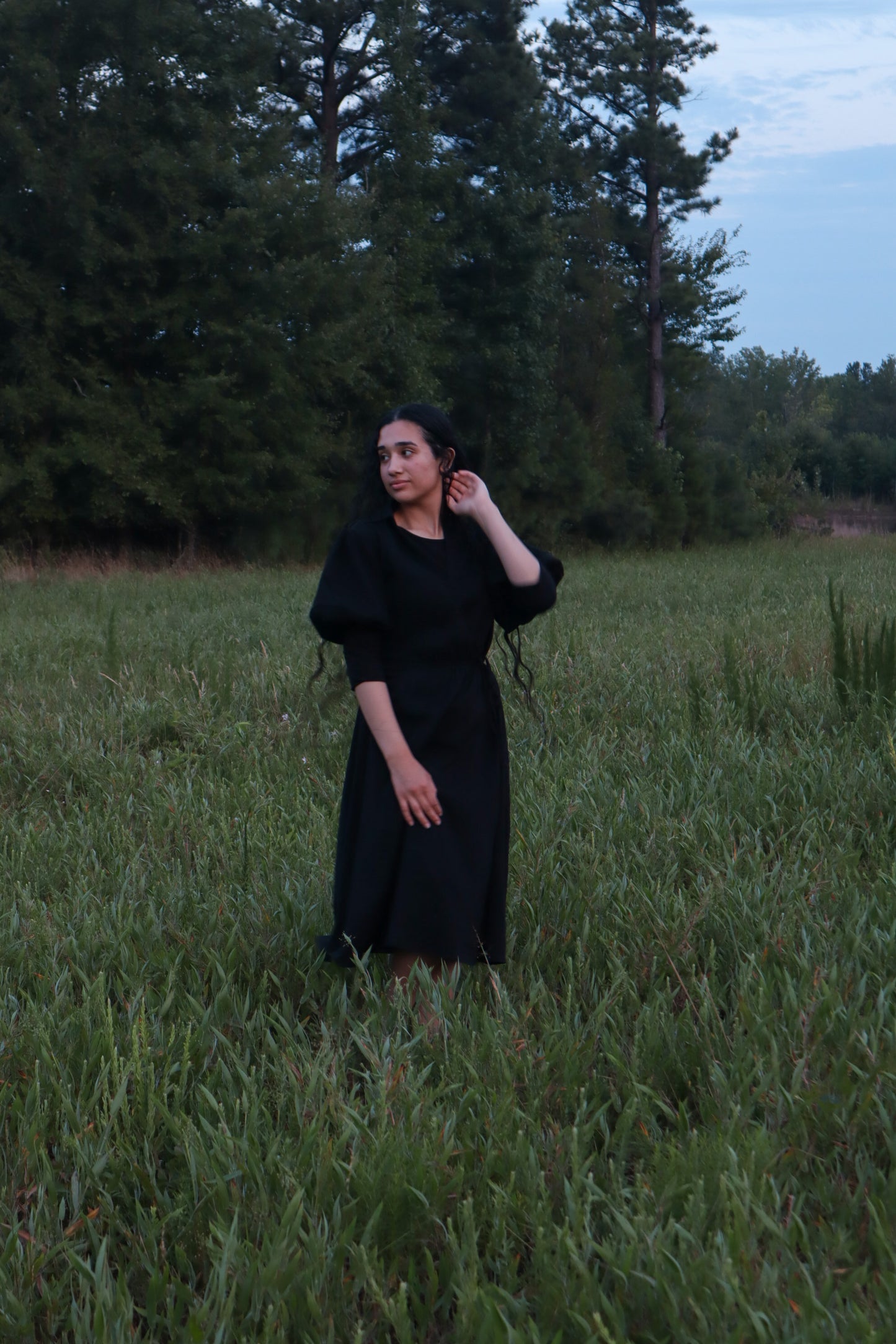 Geneva Dress